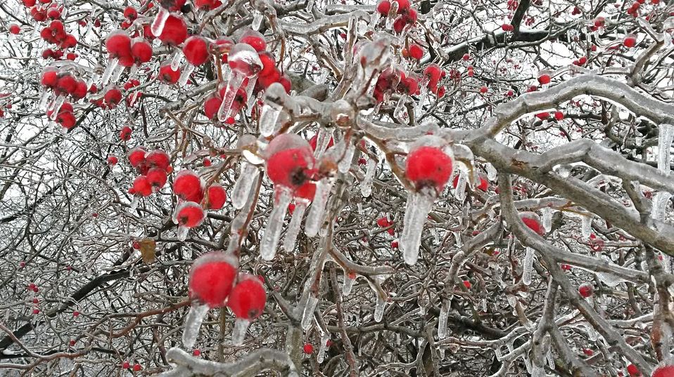 Sledovali jsme on-line: Přes noc napadlo až 15 cm sněhu, hlavně na jihovýchodě se tvořila silná ledovka